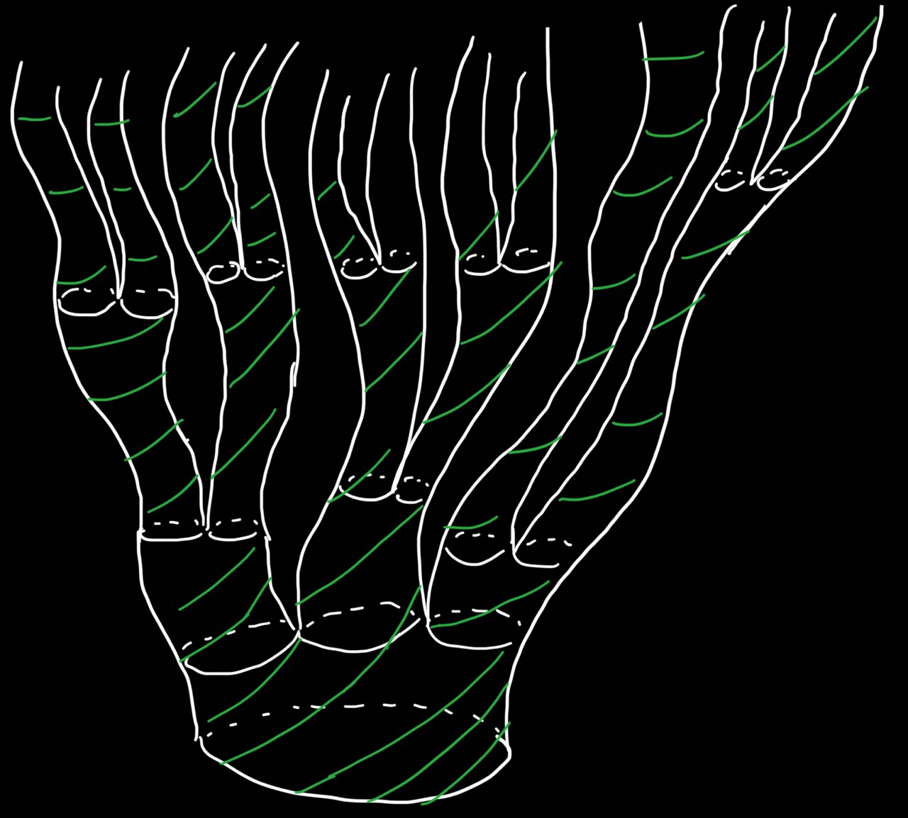 The most generalized hierarchical structure in the form of a tree